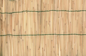 Zástěna bambus 1x3m VERDEMAX 6701