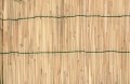 Zástěna bambus 1,5x5m VERDEMAX 6704